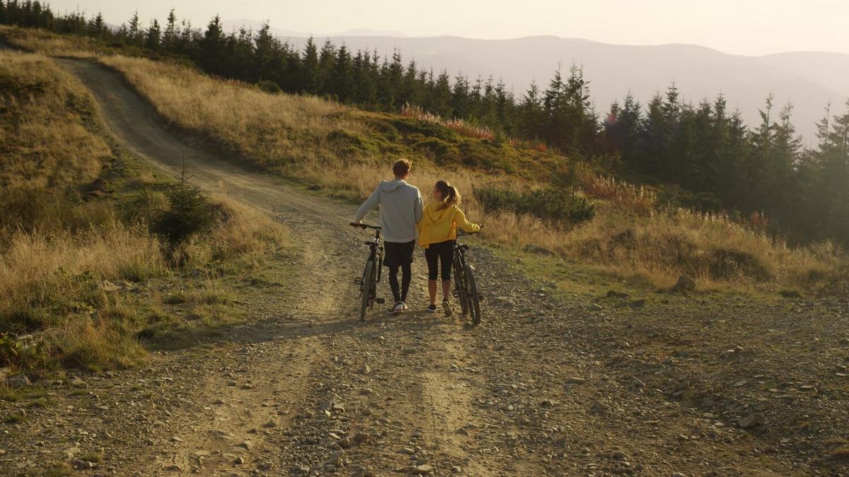 Mountain Biking Trails to Challenge Your Limits